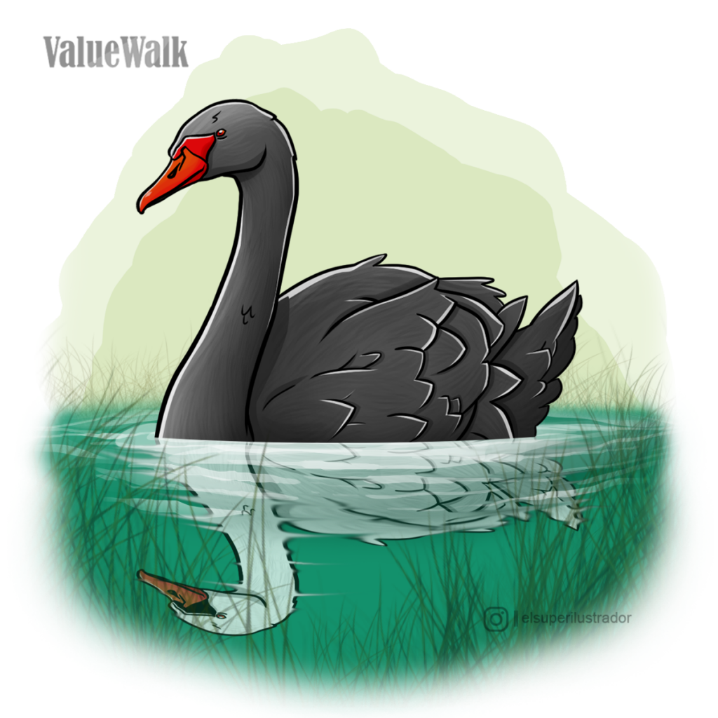 Black Swan ValueWalk V21