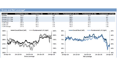Gross and Net Leverage