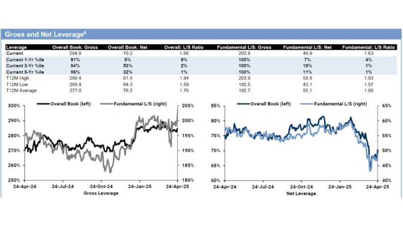 Gross and Net Leverage