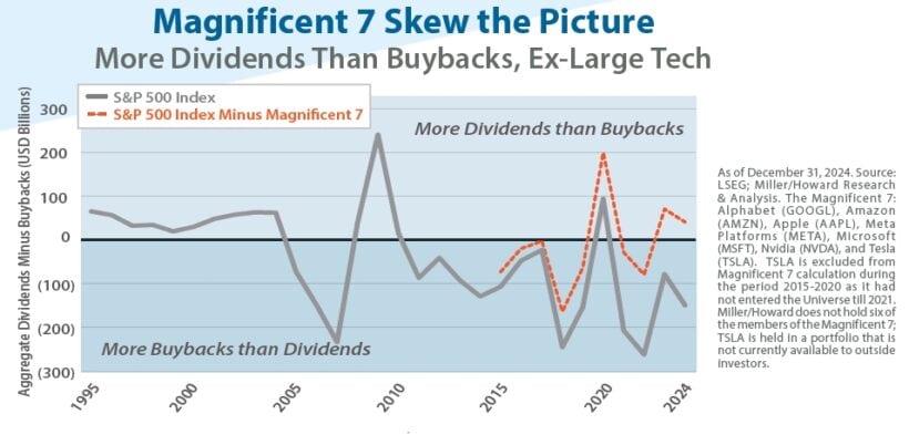 Magnificent 7 Skew the Picture