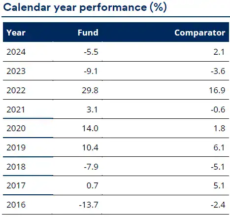 GAIA Blue Trend Fund Calendar Year Performance