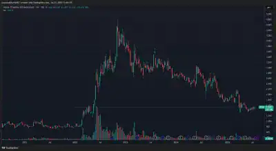 Apis Capital Osaka Titanium