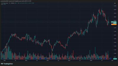 Michael Burry Scion Asset Management SLM