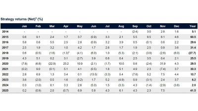 L1 Capital November 2025 Strategy Returns