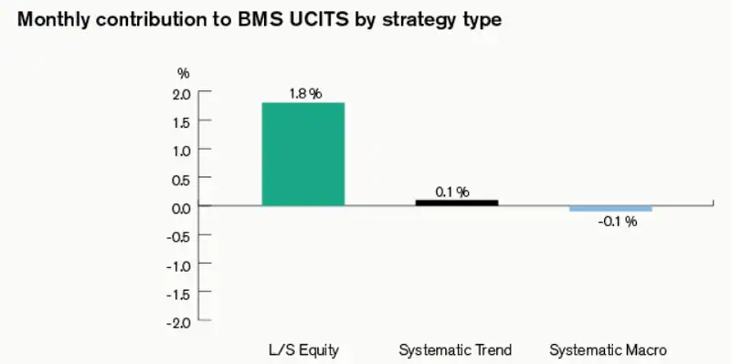 Monthly Contribution to BMS UCITS by Strategy Type
